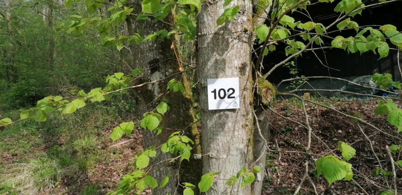 L'évasion - 102 * Durbuy